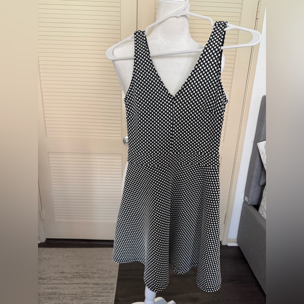 Forever 21 Black and White Fit and Flare Mini Dress